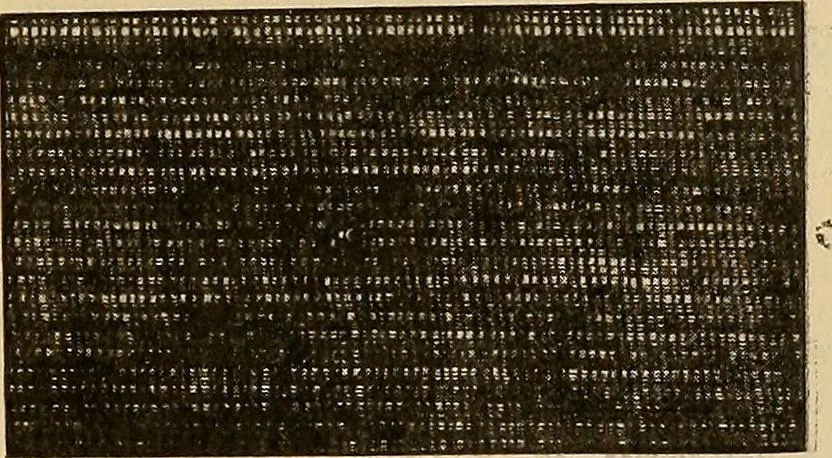 An illustration from A cotton fabrics glossary; containing instructions for the manufacture of every known grade and variety of cotton fabrics .., 1907, leaf 24