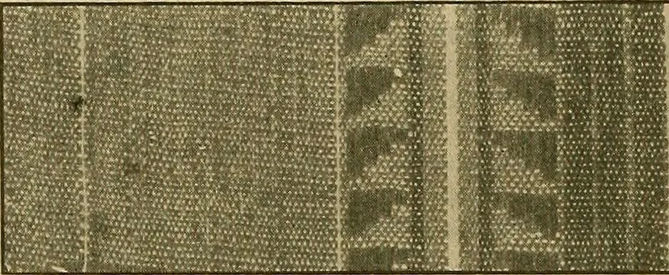 An illustration from A cotton fabrics glossary; containing instructions for the manufacture of every known grade and variety of cotton fabrics .., 1907, leaf 243