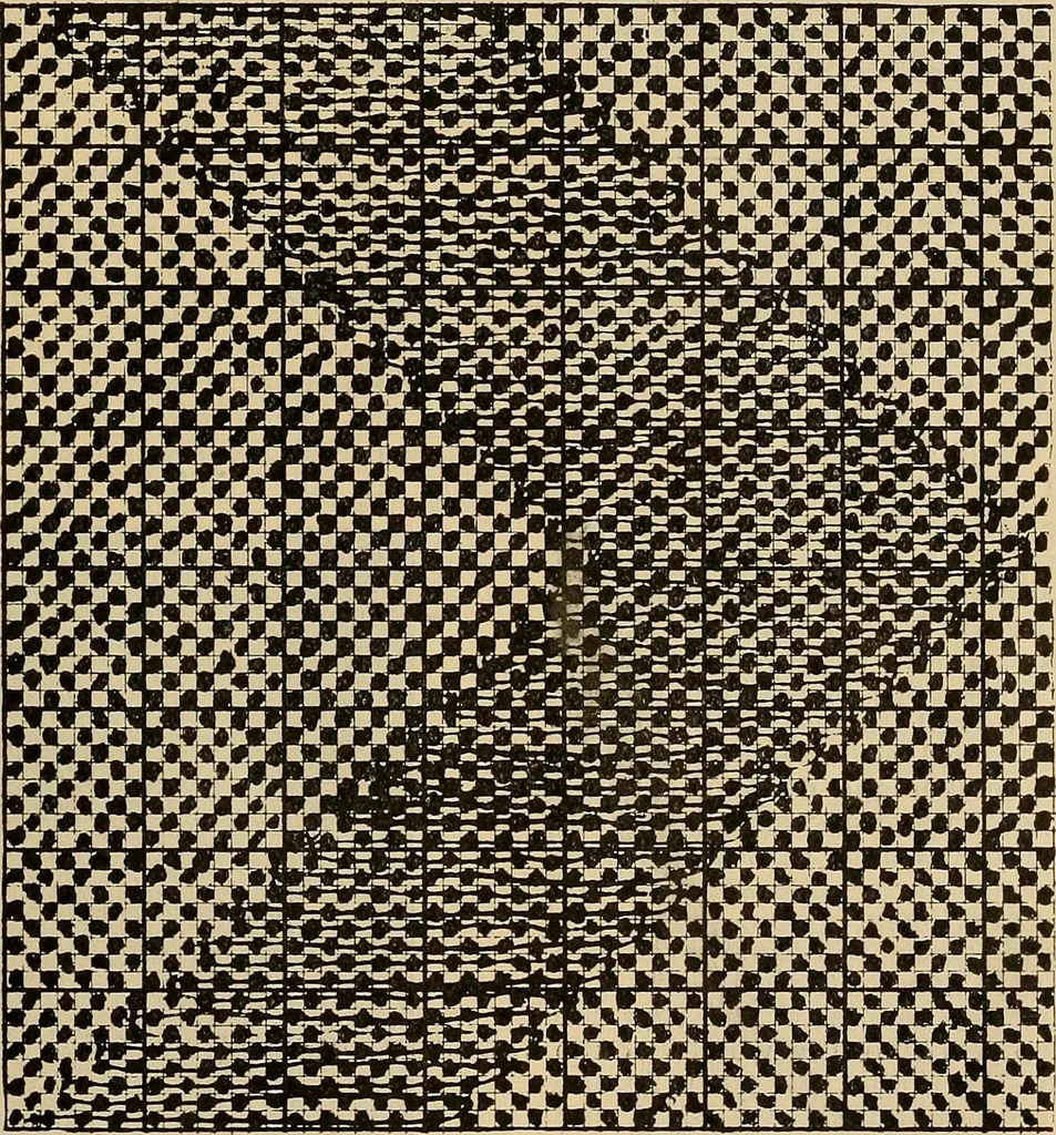 An illustration from A cotton fabrics glossary; containing instructions for the manufacture of every known grade and variety of cotton fabrics .., 1907, leaf 258