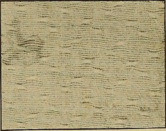 An illustration from A cotton fabrics glossary; containing instructions for the manufacture of every known grade and variety of cotton fabrics .., 1907, leaf 261