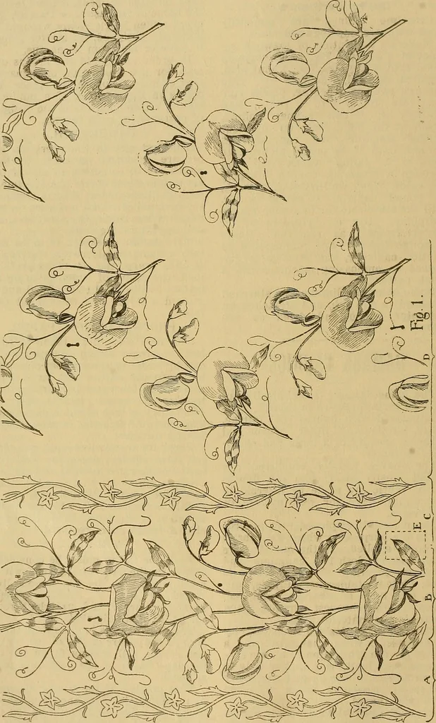 An illustration from A cotton fabrics glossary; containing instructions for the manufacture of every known grade and variety of cotton fabrics .., 1907, leaf 27
