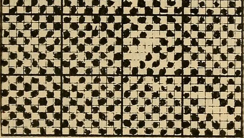 An illustration from A cotton fabrics glossary; containing instructions for the manufacture of every known grade and variety of cotton fabrics .., 1907, leaf 286