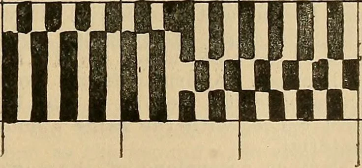 An illustration from A cotton fabrics glossary; containing instructions for the manufacture of every known grade and variety of cotton fabrics .., 1907, leaf 304
