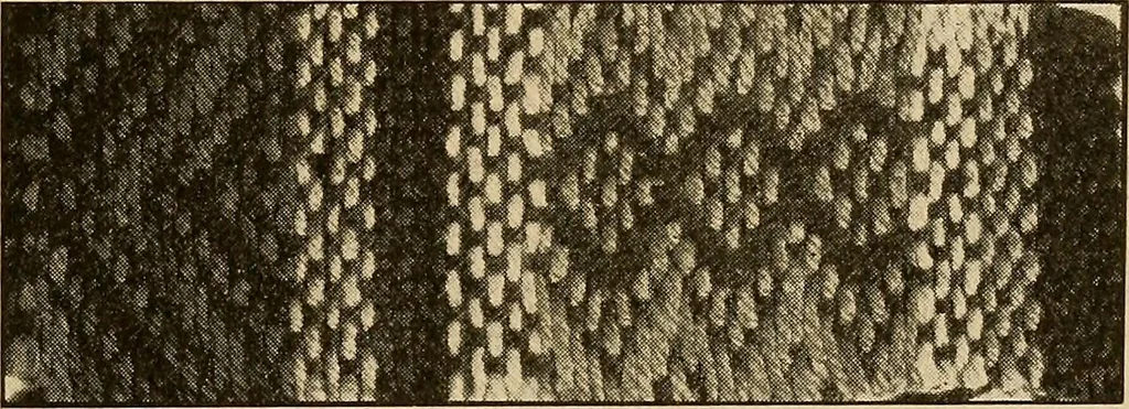 An illustration from A cotton fabrics glossary; containing instructions for the manufacture of every known grade and variety of cotton fabrics .., 1907, leaf 32
