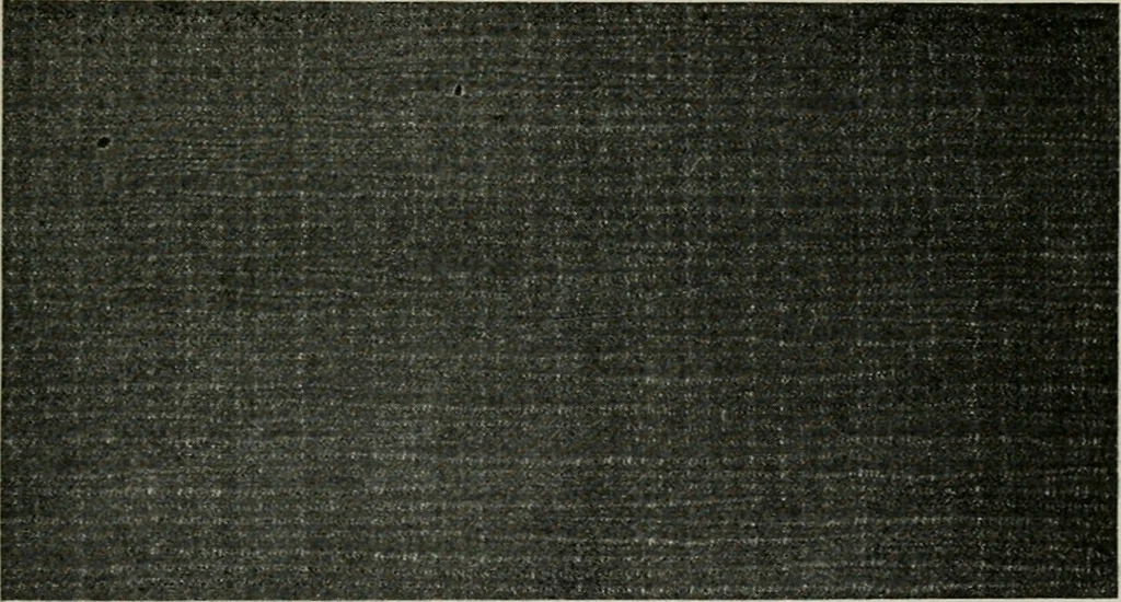 An illustration from A cotton fabrics glossary, 1914, leaf 122