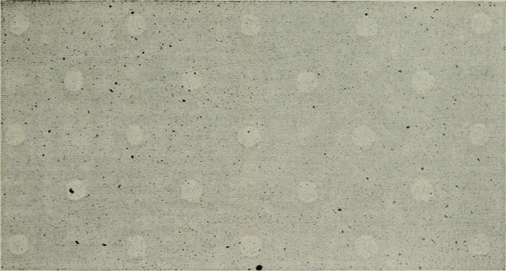 An illustration from A cotton fabrics glossary, 1914, leaf 182