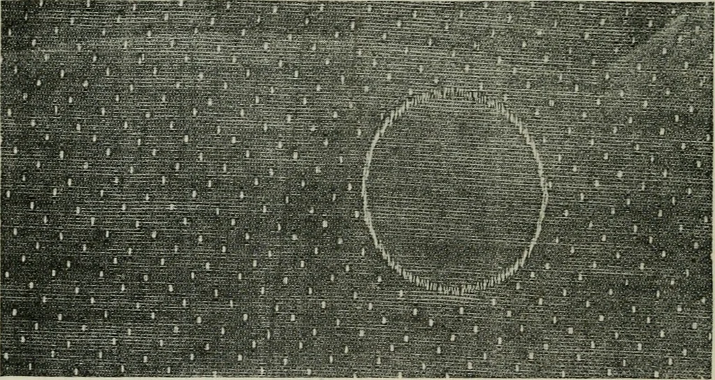 An illustration from A cotton fabrics glossary, 1914, leaf 211