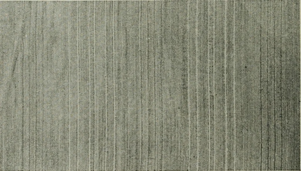 An illustration from A cotton fabrics glossary, 1914, leaf 235