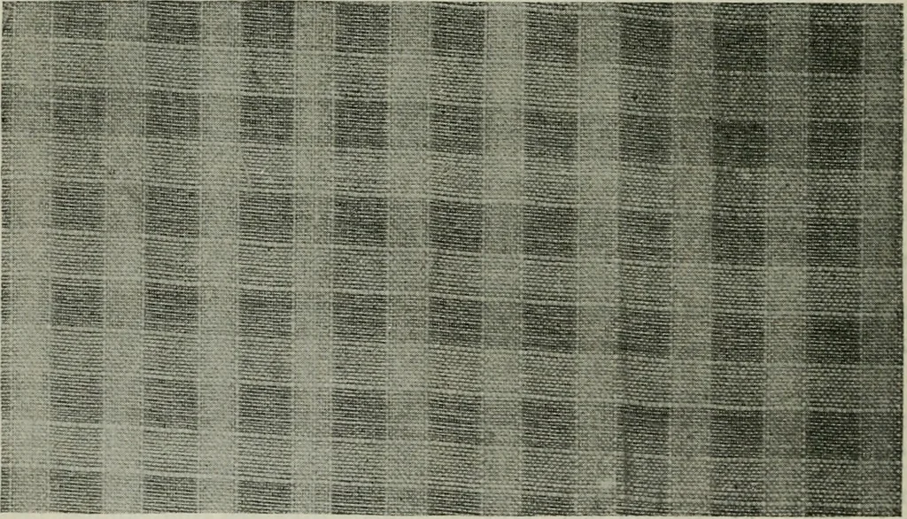 An illustration from A cotton fabrics glossary, 1914, leaf 241