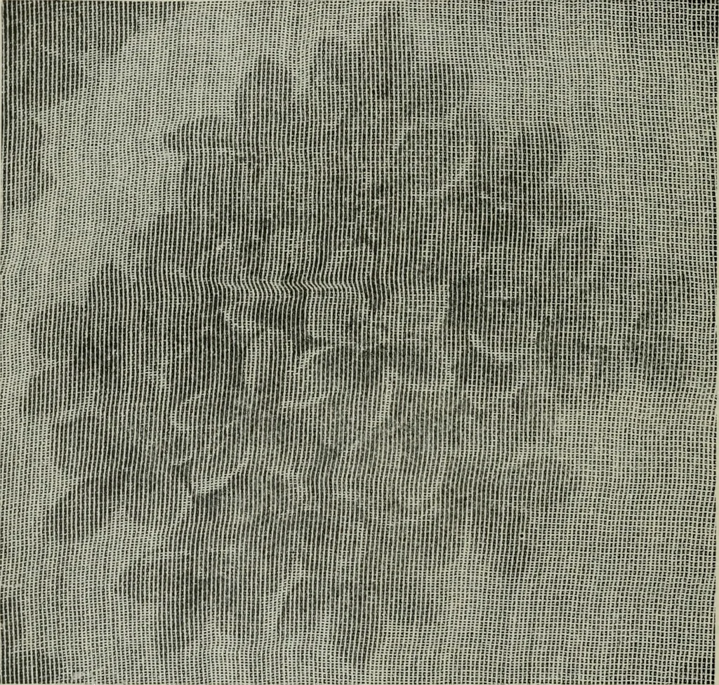 An illustration from A cotton fabrics glossary, 1914, leaf 303