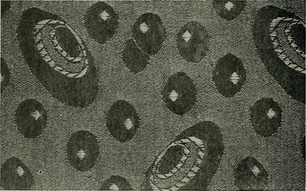 An illustration from A cotton fabrics glossary, 1914, leaf 309