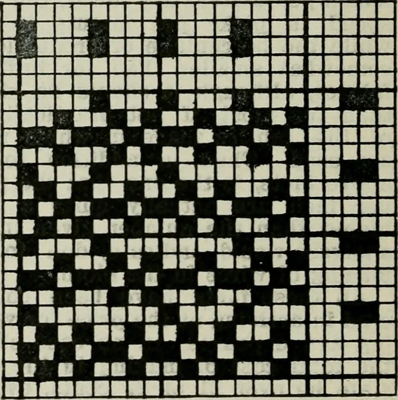 An illustration from A cotton fabrics glossary, 1914, leaf 317