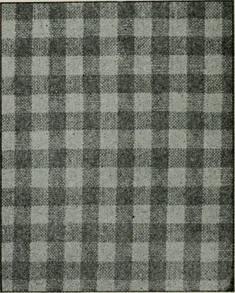 An illustration from A cotton fabrics glossary, 1914, leaf 345