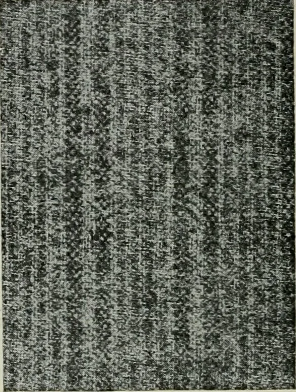 An illustration from A cotton fabrics glossary, 1914, leaf 349