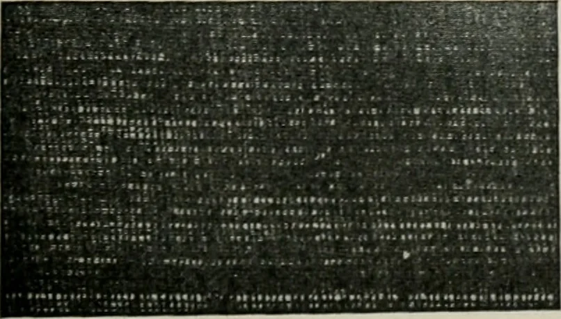 An illustration from A cotton fabrics glossary, 1914, leaf 356