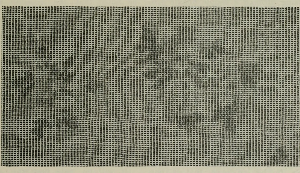 An illustration from A cotton fabrics glossary, 1914, leaf 38