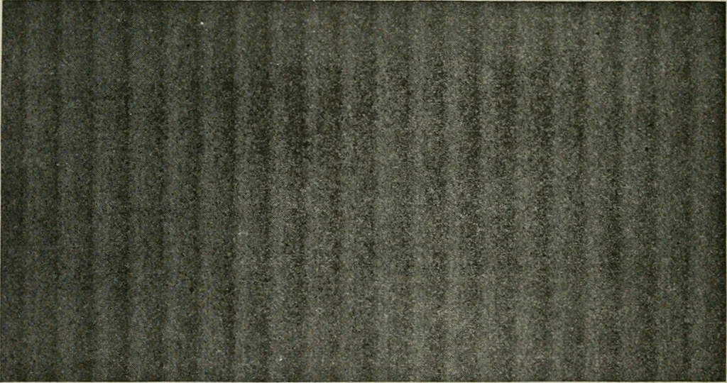 An illustration from A cotton fabrics glossary, 1914, leaf 387