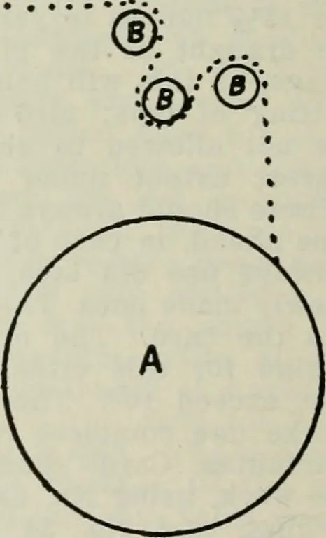 An illustration from A cotton fabrics glossary, 1914, leaf 491