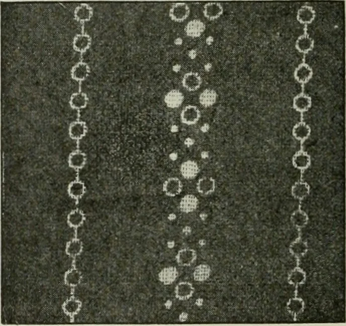 An illustration from A cotton fabrics glossary, 1914, leaf 503