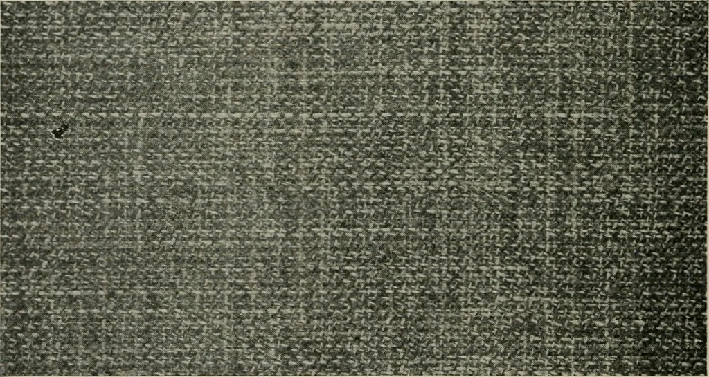 An illustration from A cotton fabrics glossary, 1914, leaf 51