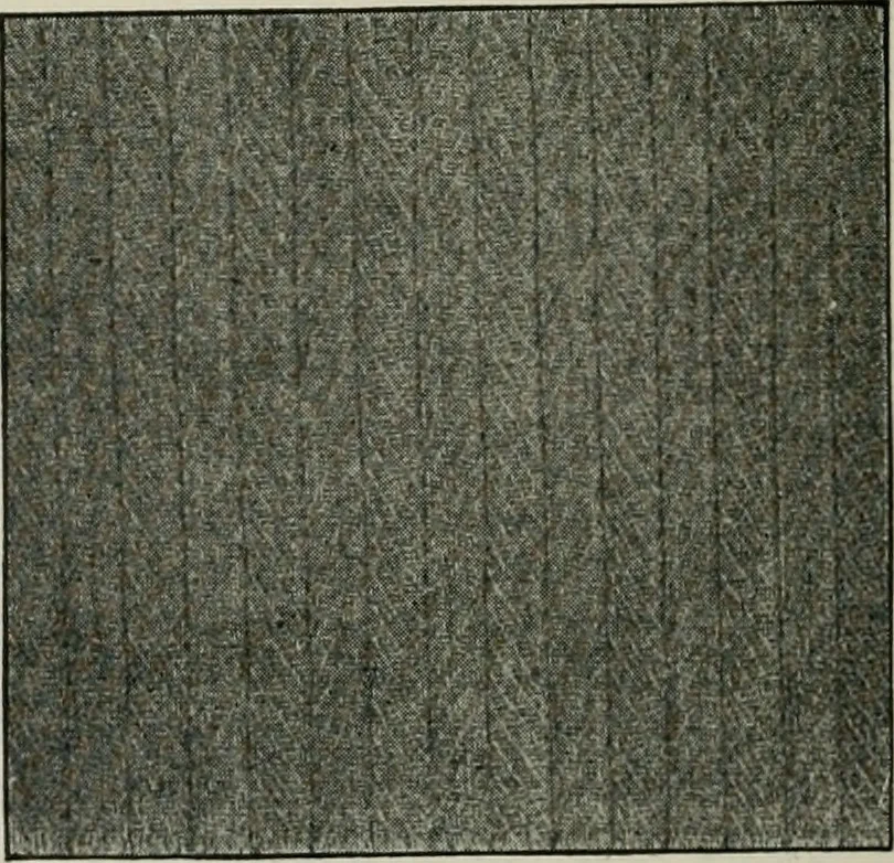 An illustration from A cotton fabrics glossary, 1914, leaf 513