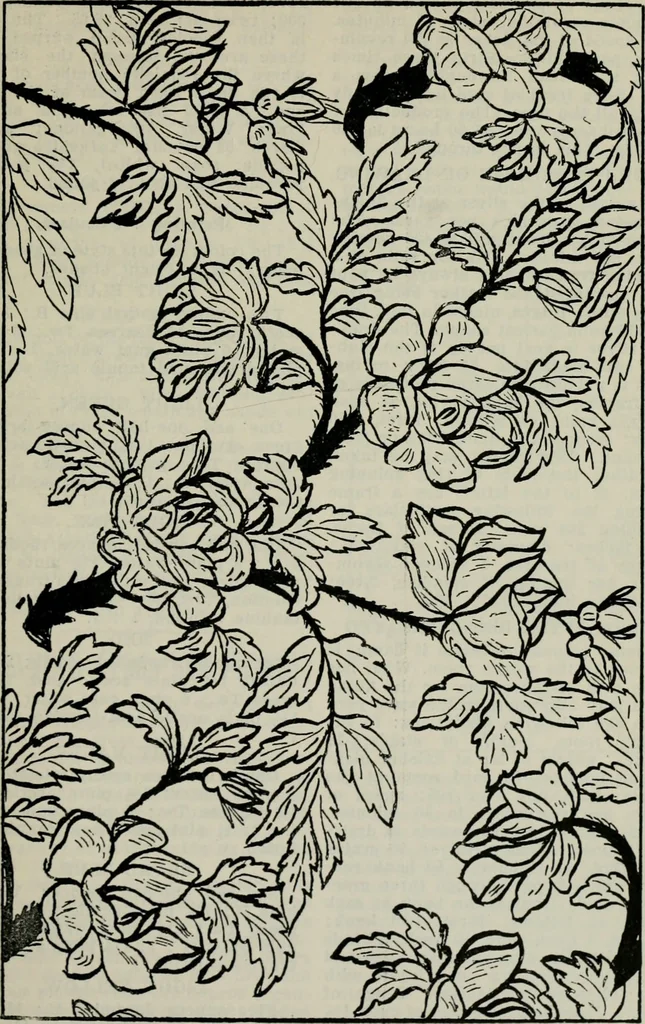 An illustration from A cotton fabrics glossary, 1914, leaf 518