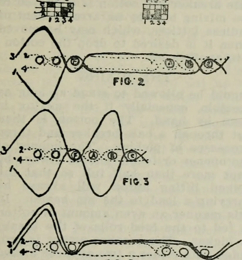 An illustration from A cotton fabrics glossary, 1914, leaf 534