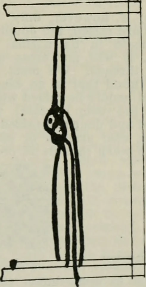 An illustration from A cotton fabrics glossary, 1914, leaf 568