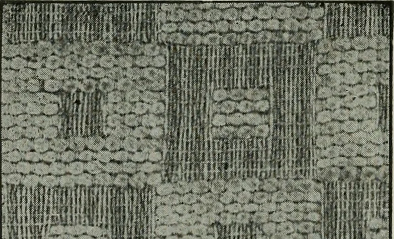 An illustration from A cotton fabrics glossary, 1914, leaf 583