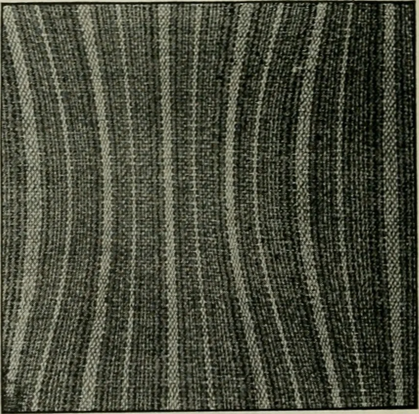 An illustration from A cotton fabrics glossary, 1914, leaf 593