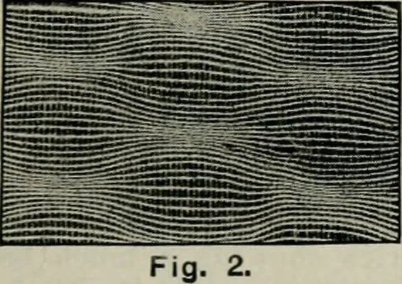 An illustration from A cotton fabrics glossary, 1914, leaf 594