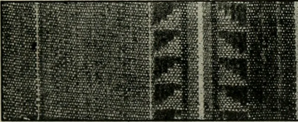 An illustration from A cotton fabrics glossary, 1914, leaf 612