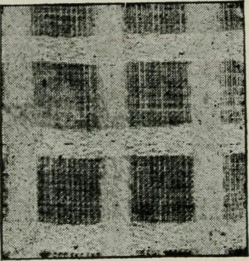 An illustration from A cotton fabrics glossary, 1914, leaf 619