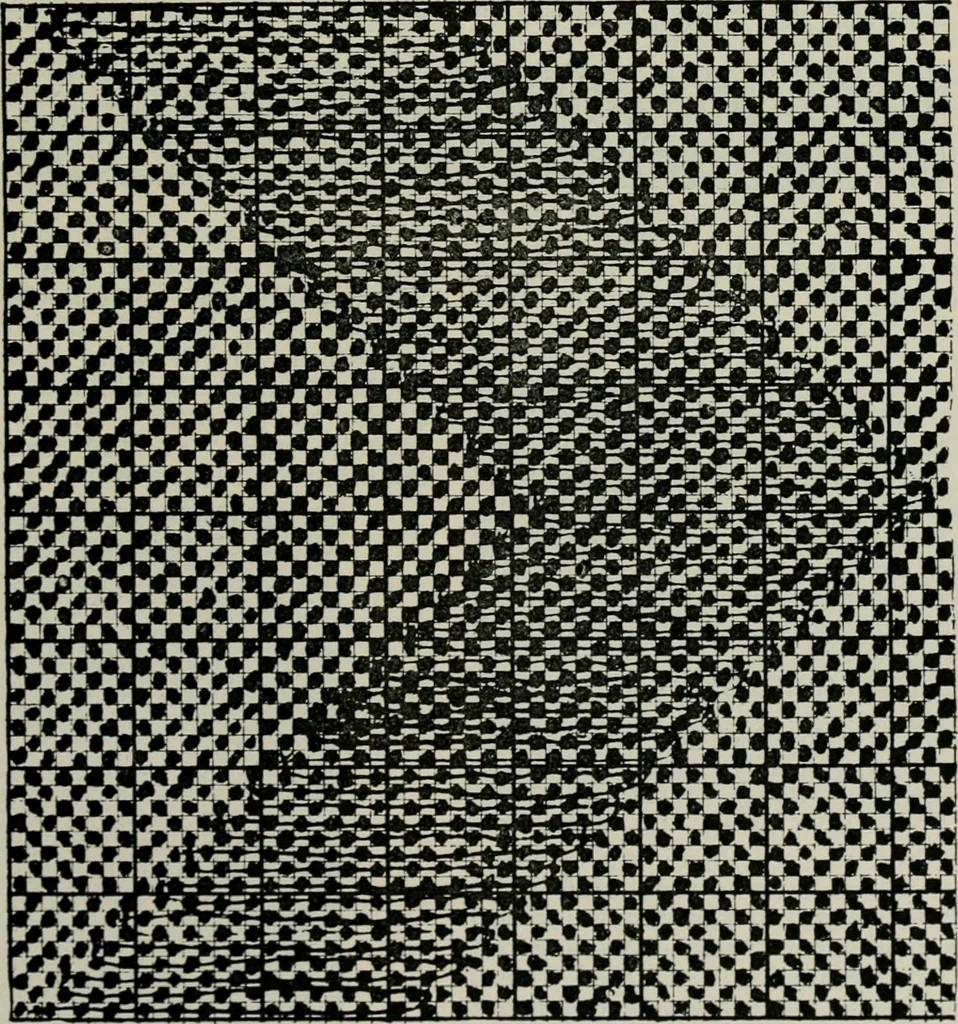 An illustration from A cotton fabrics glossary, 1914, leaf 630