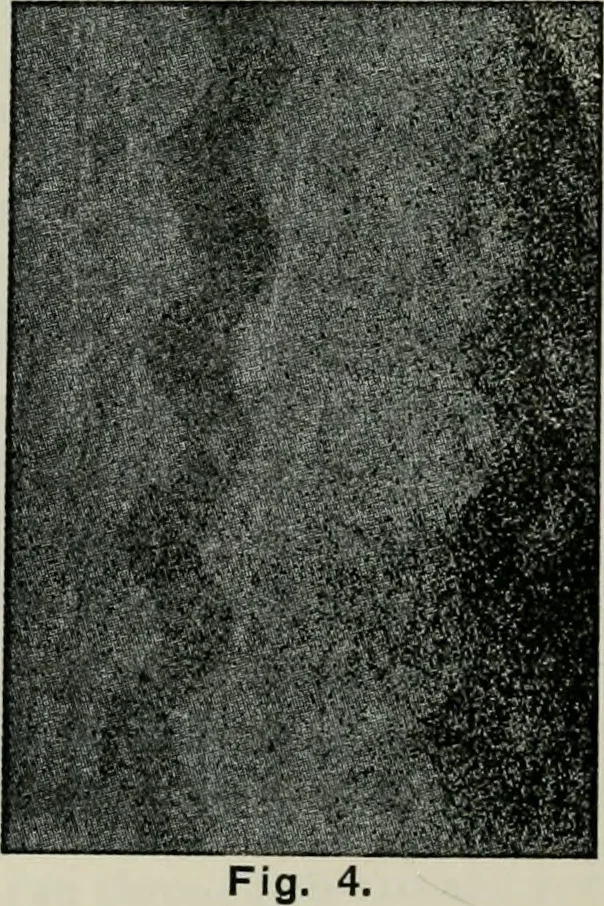 An illustration from A cotton fabrics glossary, 1914, leaf 631