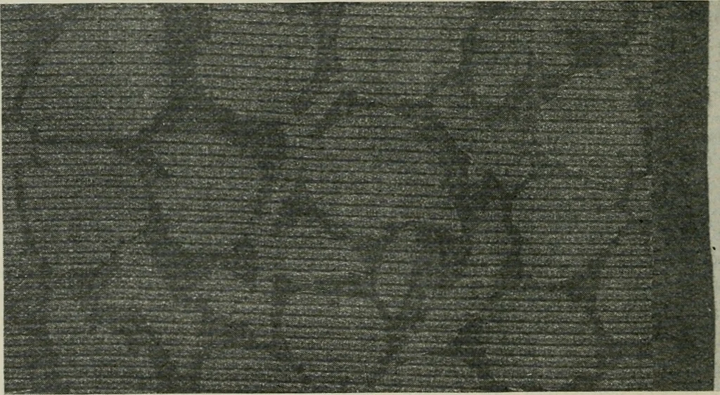 An illustration from A cotton fabrics glossary, 1914, leaf 65