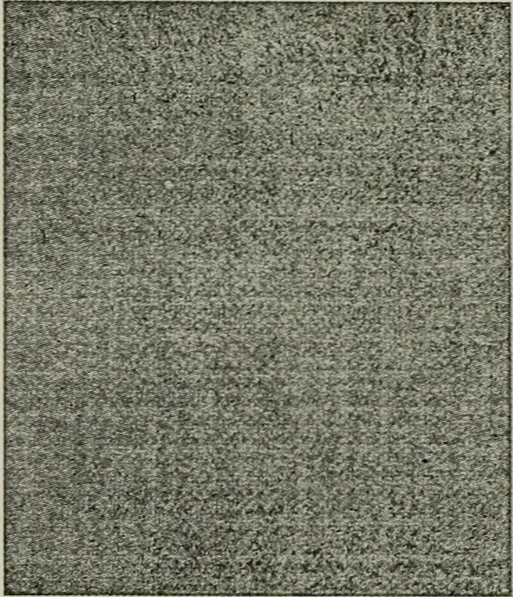 An illustration from A cotton fabrics glossary, 1914, leaf 657
