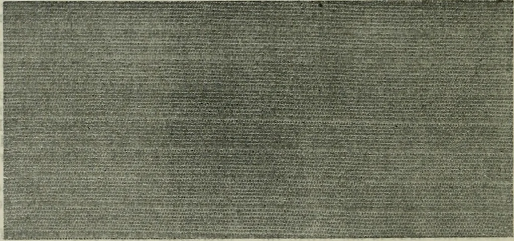 An illustration from A cotton fabrics glossary, 1914, leaf 67