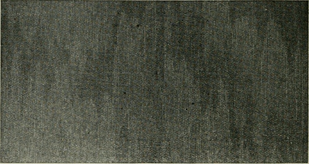 An illustration from A cotton fabrics glossary, 1914, leaf 73