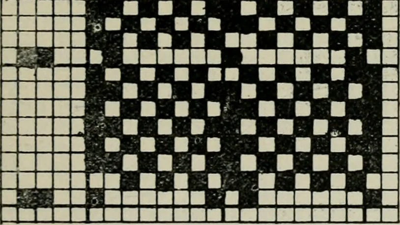 An illustration from A cotton fabrics glossary, 1914, leaf 78