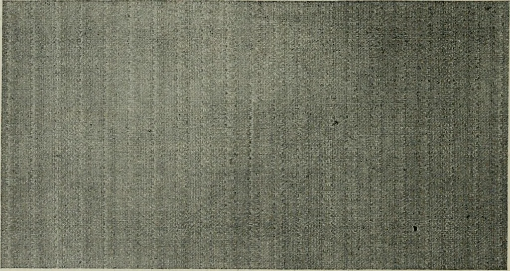 An illustration from A cotton fabrics glossary, 1914, leaf 81