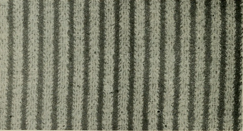 An illustration from A cotton fabrics glossary, 1914, leaf 91