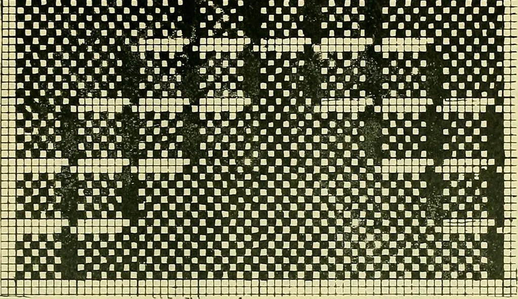 An illustration from A cotton fabrics glossary; containing instructions for the manufacture of every known grade and variety of cotton fabrics .., 1907, leaf 117