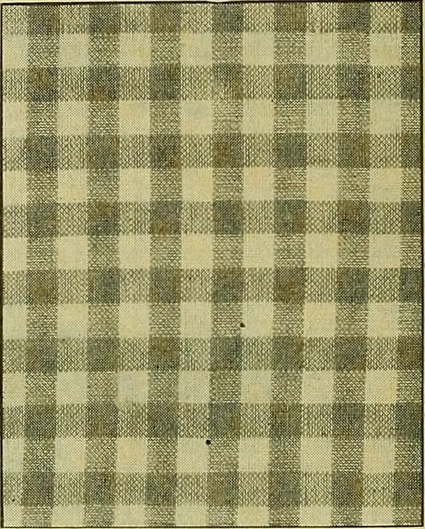 An illustration from A cotton fabrics glossary; containing instructions for the manufacture of every known grade and variety of cotton fabrics .., 1907, leaf 14