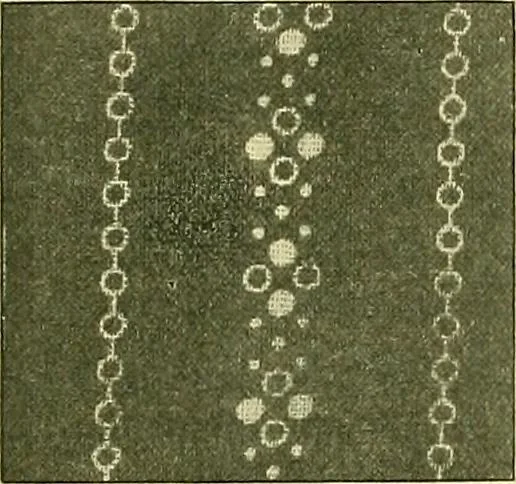 An illustration from A cotton fabrics glossary; containing instructions for the manufacture of every known grade and variety of cotton fabrics .., 1907, leaf 149
