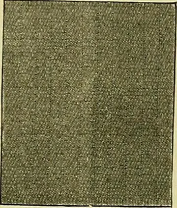 An illustration from A cotton fabrics glossary; containing instructions for the manufacture of every known grade and variety of cotton fabrics .., 1907, leaf 157