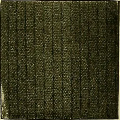 An illustration from A cotton fabrics glossary; containing instructions for the manufacture of every known grade and variety of cotton fabrics .., 1907, leaf 157