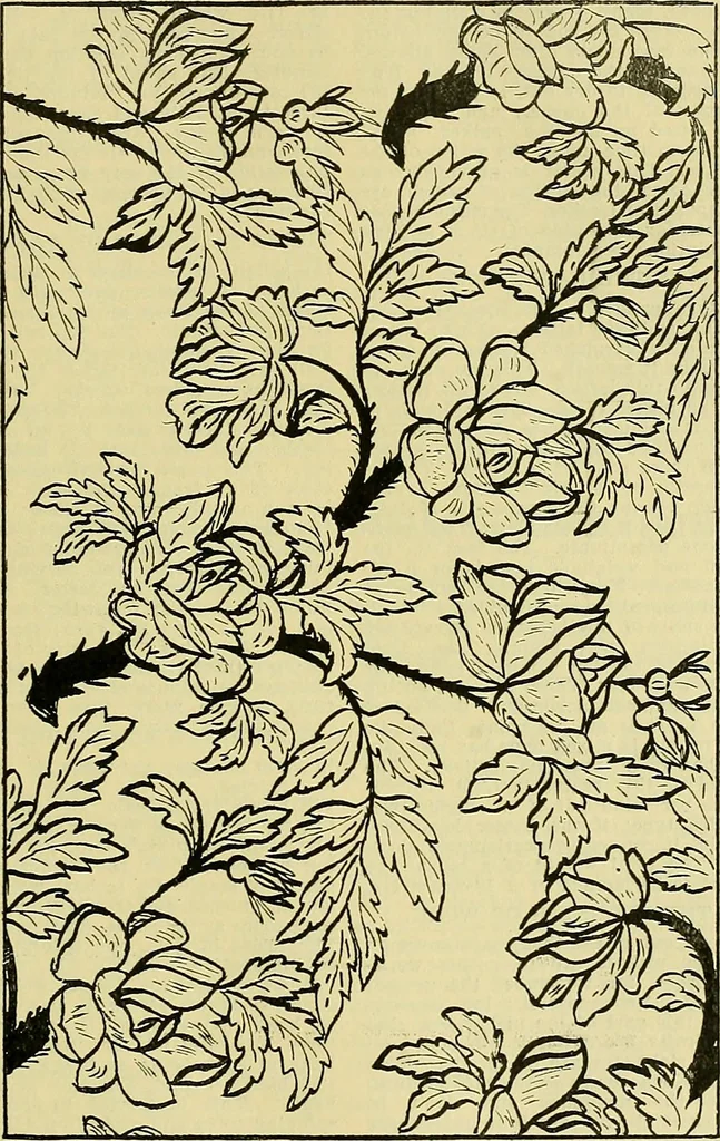An illustration from A cotton fabrics glossary; containing instructions for the manufacture of every known grade and variety of cotton fabrics .., 1907, leaf 161