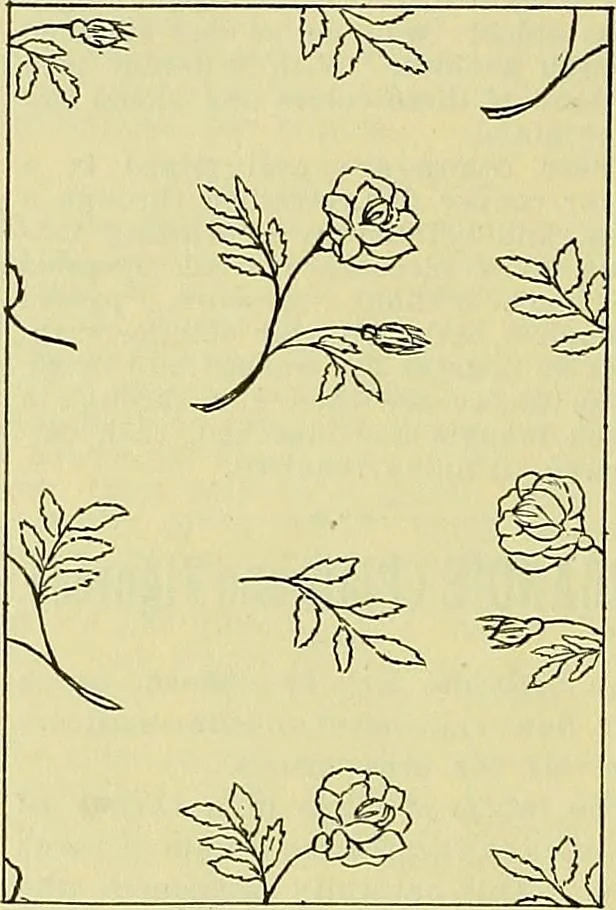An illustration from A cotton fabrics glossary; containing instructions for the manufacture of every known grade and variety of cotton fabrics .., 1907, leaf 164