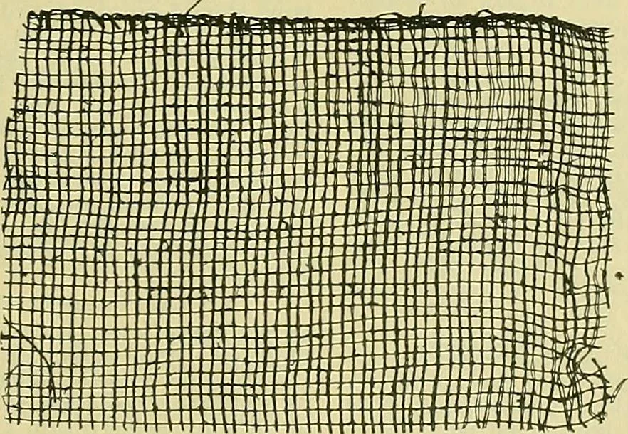 An illustration from A cotton fabrics glossary; containing instructions for the manufacture of every known grade and variety of cotton fabrics .., 1907, leaf 169